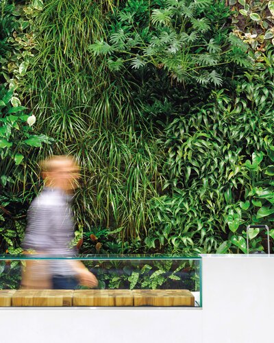 Person in front of a green wall. | © www.greenovergrey.com