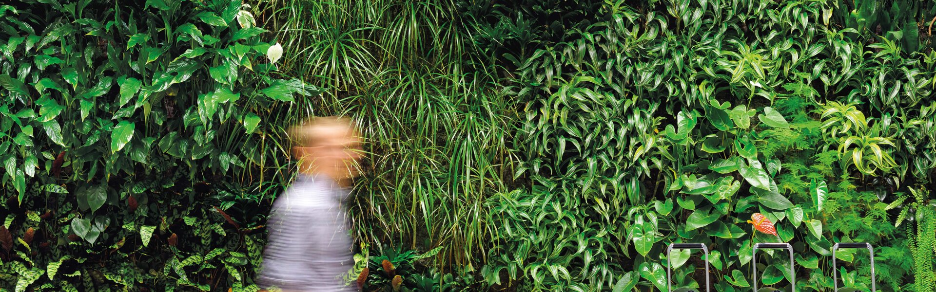 Person in front of a green wall. | © www.greenovergrey.com