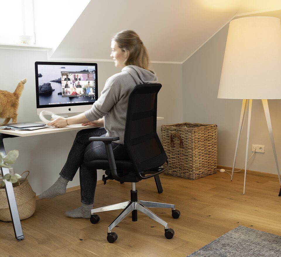 Person sits in front of the desk in the home office. A red cat is standing at the desk.