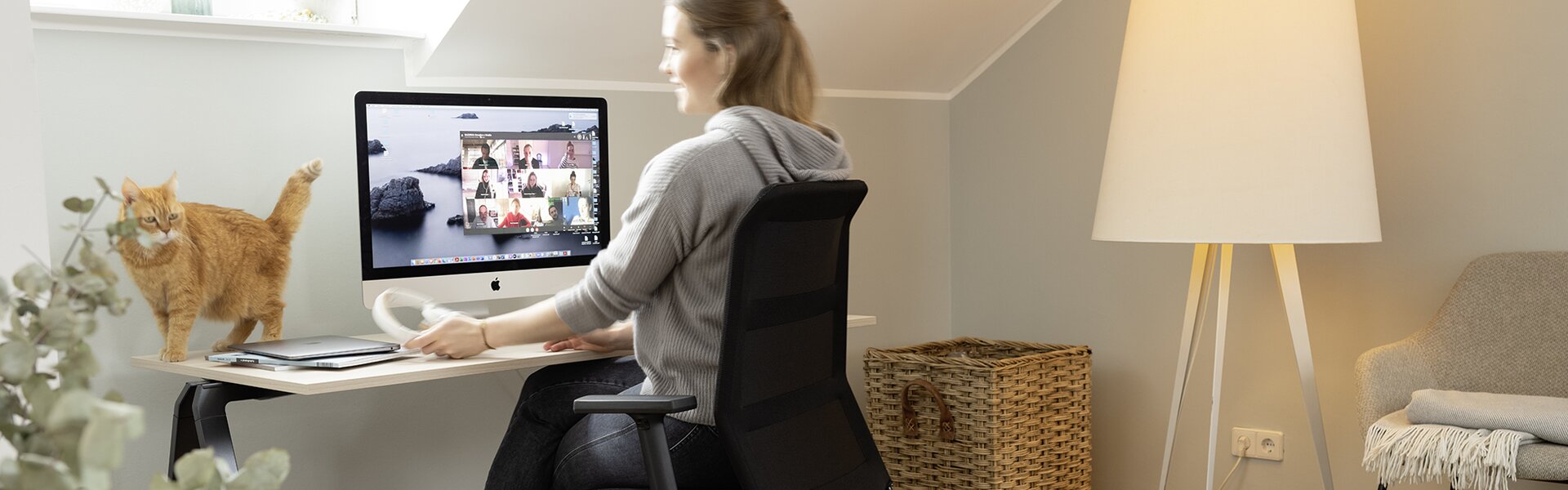 Person sits in front of the desk in the home office. A red cat is standing at the desk.