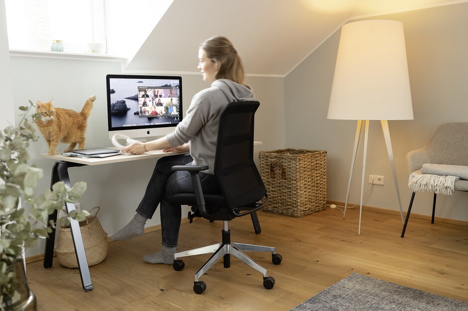 Person sits in front of the desk in the home office. A red cat is standing at the desk.